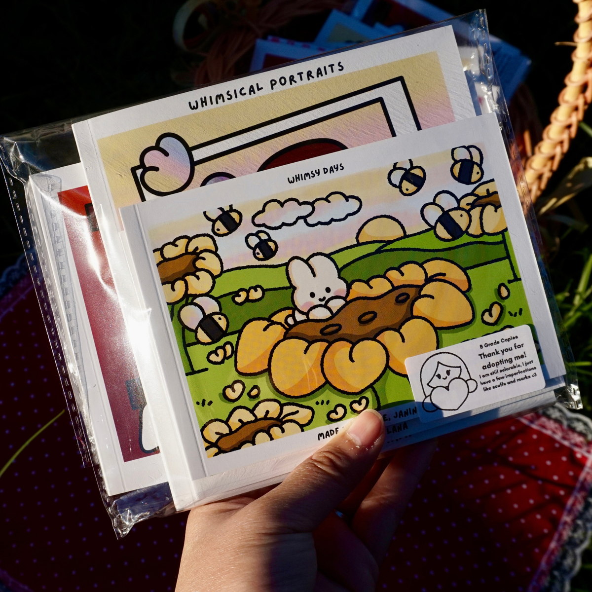 B GRADE 3 Book Whimsy Bundle